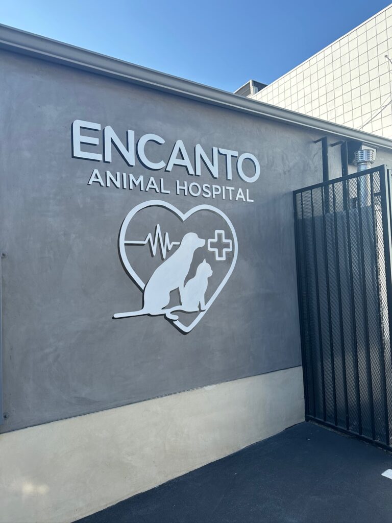 Mural for an Animal Hospital front entrance. 